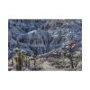 16396307273990174077_2048.jpeg Red Rock Canyon Poster