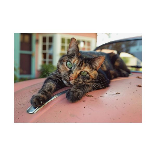 17319599213427909151_2048.jpeg Calico Cat On Car Poster