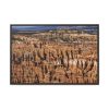 17432296631117897603_2048.jpeg Bryce Canyon Framed Canvas