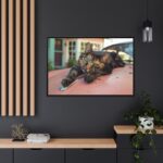 Calico Cat On Car Framed Canvas - Image 4