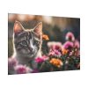2206908744662402927_2048.jpeg Cat Kitten Flowers Blossoms Standard Canvas