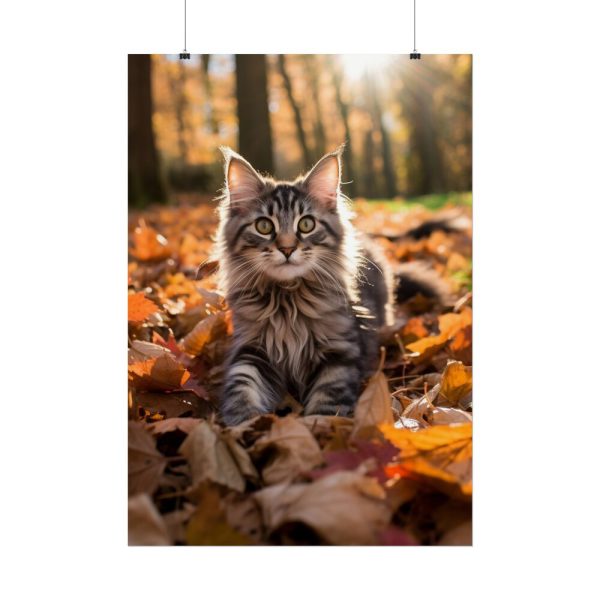 2441834854892134600_2048.jpeg Fluffy Tabby Kitty Laying Poster