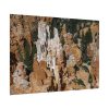 2950410674457776053_2048.jpeg Bryce Canyon National Park Poster