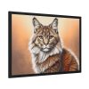 3220582822506206593_2048.jpeg Animal Pet Cat Drawing Framed Poster