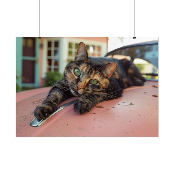 3274092735923766169_2048.jpeg Calico Cat On Car Poster