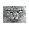 3292036901259225179_2048.jpeg Cat Face Poster