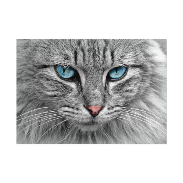 3292036901259225179_2048.jpeg Cat Face Poster
