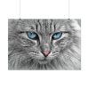 3408972726148083344_2048.jpeg Cat Face Poster
