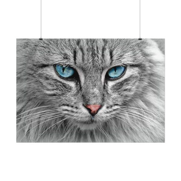 3408972726148083344_2048.jpeg Cat Face Poster