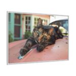 Calico Cat On Car Framed Canvas - Image 9