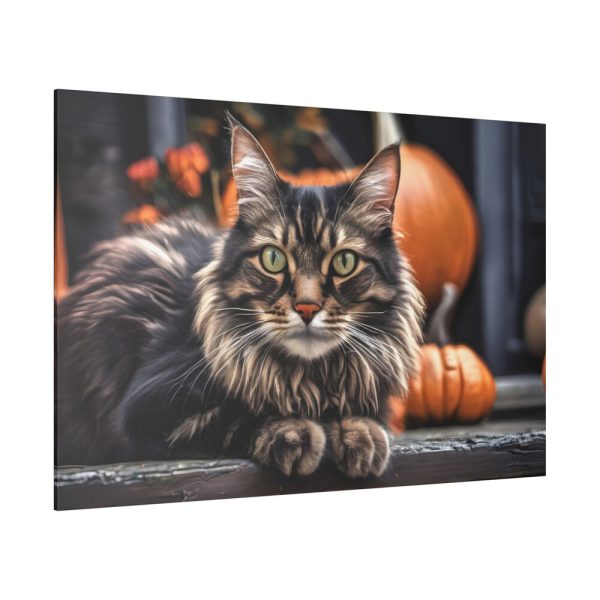 3664029955866101892_2048.jpeg Cat Pumpkin Halloween Standard Canvas