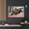 3879392083951249960_2048.jpeg Calico Cat On Car Framed Canvas