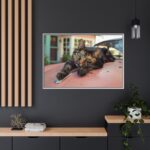 Calico Cat On Car Framed Canvas - Image 12