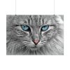 393715541577886788_2048.jpeg Cat Face Poster