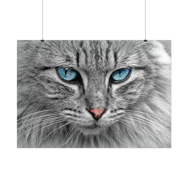393715541577886788_2048.jpeg Cat Face Poster