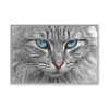 4065155021370469646_2048.jpeg Cat Face Framed Canvas