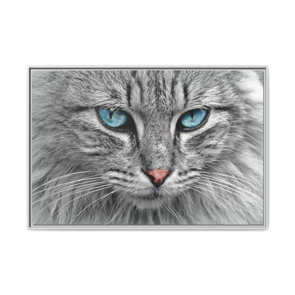 4065155021370469646_2048.jpeg Cat Face Framed Canvas
