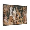 4193439735025727060_2048.jpeg Bryce Canyon National Park Framed Canvas