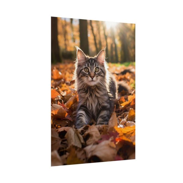 4718421736963562851_2048.jpeg Fluffy Tabby Kitty Laying Poster