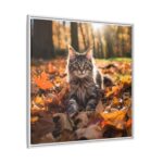 Fluffy Tabby Kitty Laying Framed Canvas - Image 9