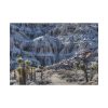 4746090132276119272_2048.jpeg Red Rock Canyon Poster