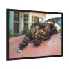 493992121549067033_2048.jpeg Calico Cat On Car Framed Poster