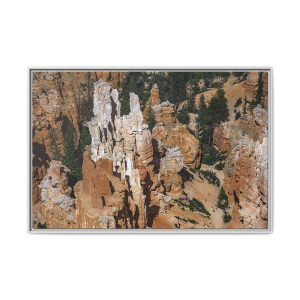 5341668647214265516_2048.jpeg Bryce Canyon National Park Framed Canvas