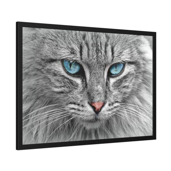 5496035445794271425_2048-1.jpeg Cat Face Framed Poster