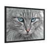 5496035445794271425_2048.jpeg Cat Face Framed Poster