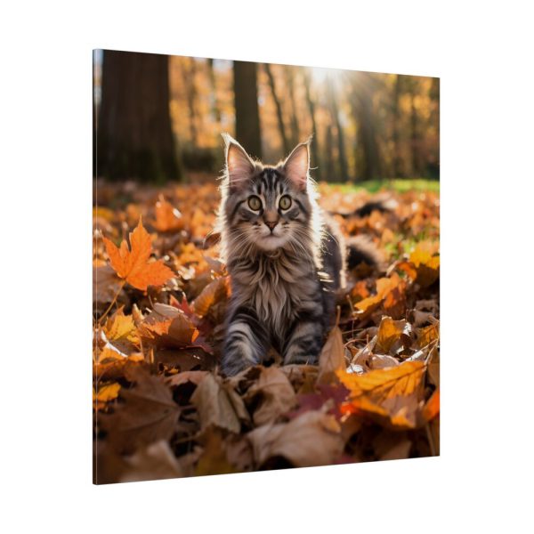 5603989505163729837_2048.jpeg Fluffy Tabby Kitty Laying Standard Canvas
