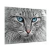 5730188992683234641_2048.jpeg Cat Face Poster