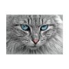 5756289061643395565_2048.jpeg Cat Face Poster