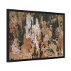 6283130444378984806_2048.jpeg Bryce Canyon National Park Framed Poster