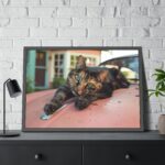 Calico Cat On Car  Framed Poster - Image 4
