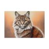 7054628814086047199_2048.jpeg Animal Pet Cat Drawing Standard Canvas