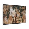 7749500521842697515_2048.jpeg Bryce Canyon National Park Framed Canvas