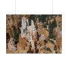 799509940304852114_2048.jpeg Bryce Canyon National Park Poster