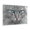 8277261131037716962_2048.jpeg Cat Face Standard Canvas