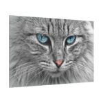 Cat Face Standard Canvas