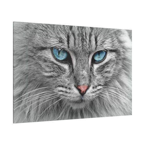 Cat Face Standard Canvas