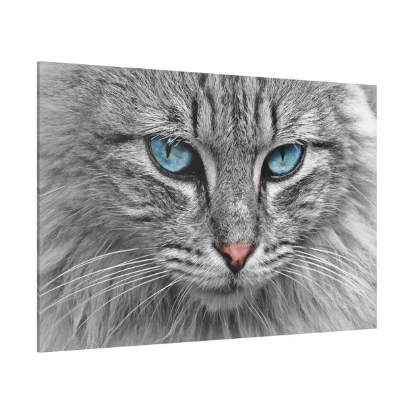 8277261131037716962_2048.jpeg Cat Face Standard Canvas