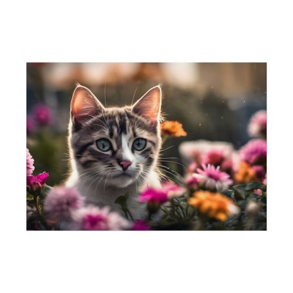 8478869585116726208_2048.jpeg Cat Kitten Flowers Blossoms Poster