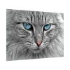 8767040516017160200_2048.jpeg Cat Face Poster