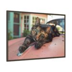 Calico Cat On Car Framed Canvas - Image 5