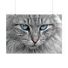9103518442952435616_2048.jpeg Cat Face Poster