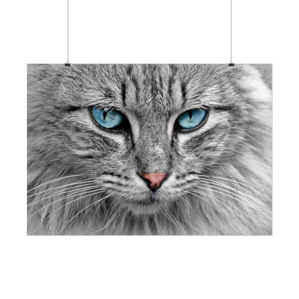 9103518442952435616_2048.jpeg Cat Face Poster