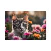 933894746800105657_2048.jpeg Cat Kitten Flowers Blossoms Poster