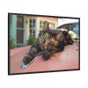 934478611611288836_2048.jpeg Calico Cat On Car Framed Canvas
