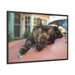 Calico Cat On Car Framed Canvas