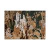 9395377942035907522_2048.jpeg Bryce Canyon National Park Poster